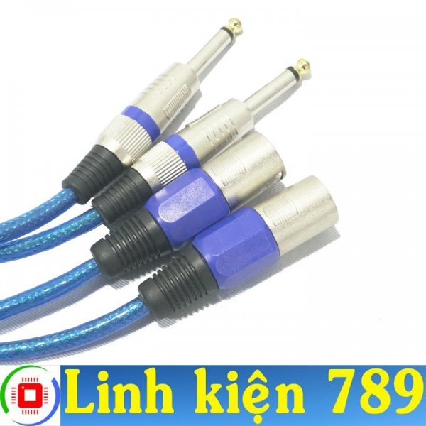 Dây jack canon đực ra 6 ly dài 75cm (2 dây)